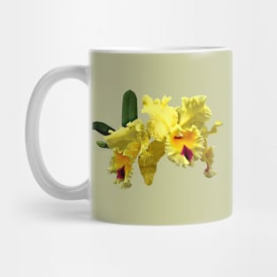 Two Yellow Cattleya Orchids Mug